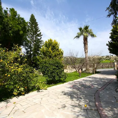 Alonia Villas *