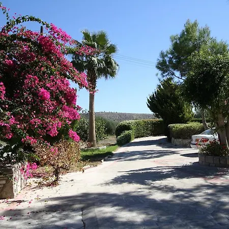 Alonia Villas