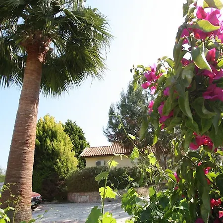 Villa Alonia Pissouri