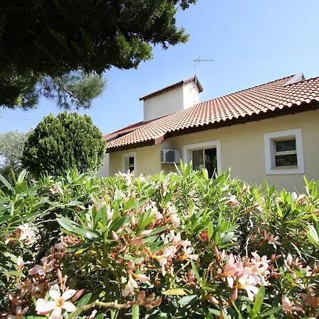 Alonia Villas