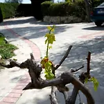 Alonia Villa Piszúri