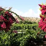 Alonia