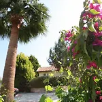 Villa Alonia Piszúri