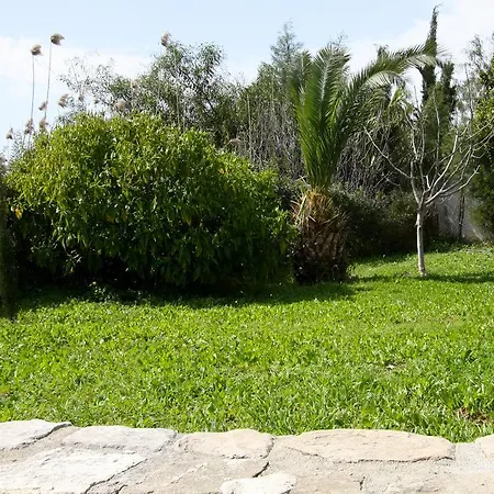 Alonia * Pissouri
