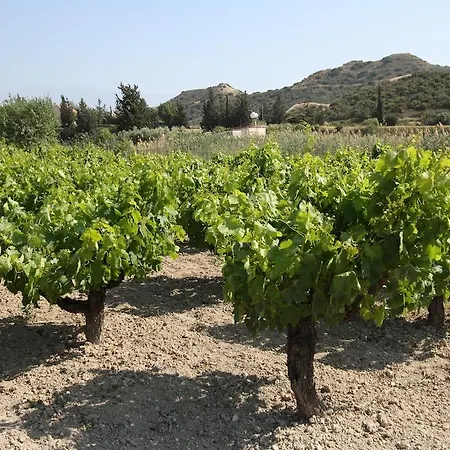 Villa Alonia Villas Pissouri