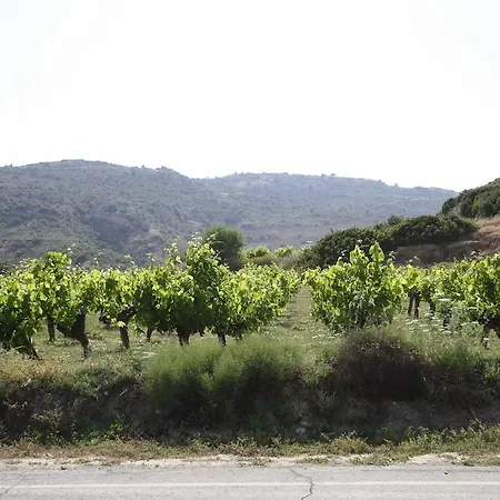 Alonia Villas Pissouri