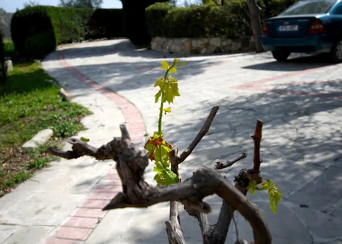 Alonia Vila Pissouri