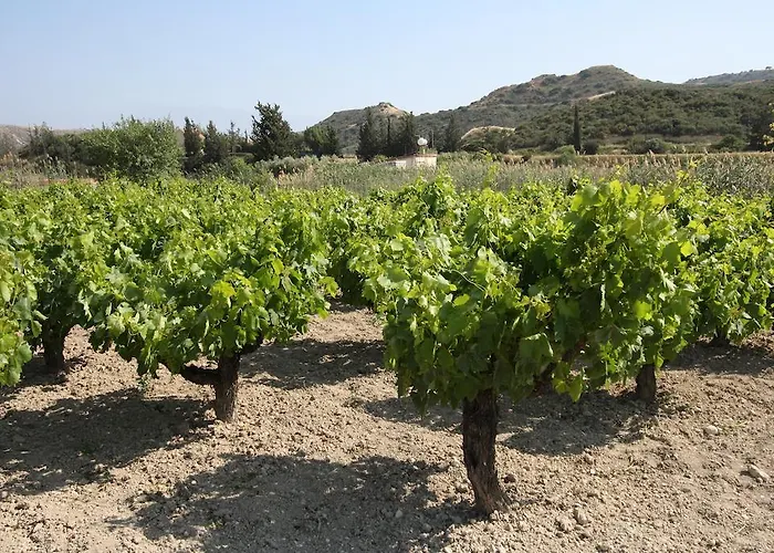 Willa Alonia Pissouri