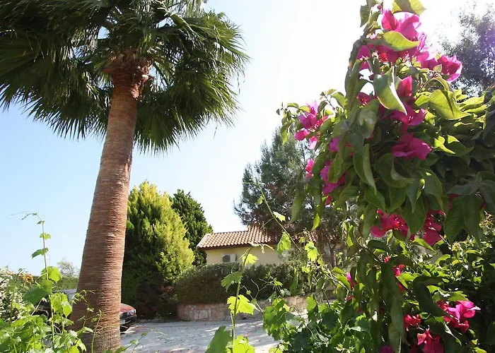 Vila Alonia Pissouri